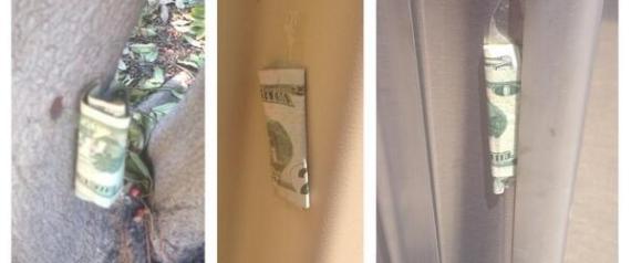 n-HIDDENCASH-large570